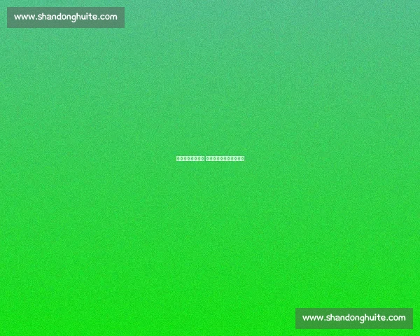 以球会友燃情挥拍 厦门全民健身网球赛开赛