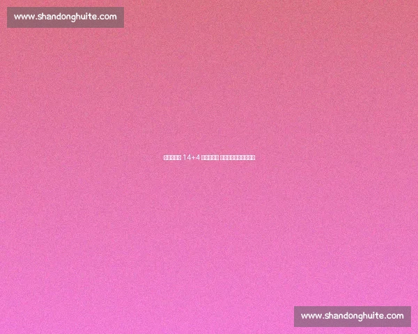 崔新泉高效 14+4 助率队取胜 能攻善传尽显全能身手