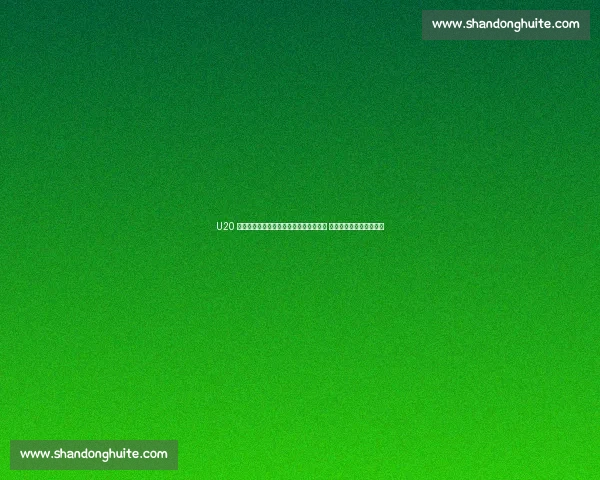 U20 世界杯韩国名单：本土青训撑起主力框架 葡超前锋金泰元独挑大梁